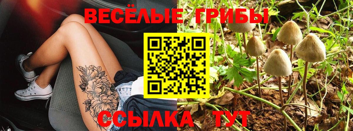 Галлюциногенные грибы мухоморы  Вход с VPN  Чебоксары  Псилоцибиновые грибы Psilocybine cubensis 