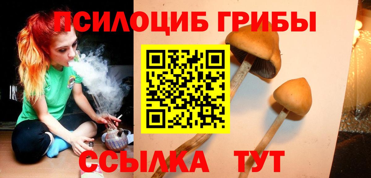 Псилоцибиновые грибы MAGIC MUSHROOMS Чебоксары