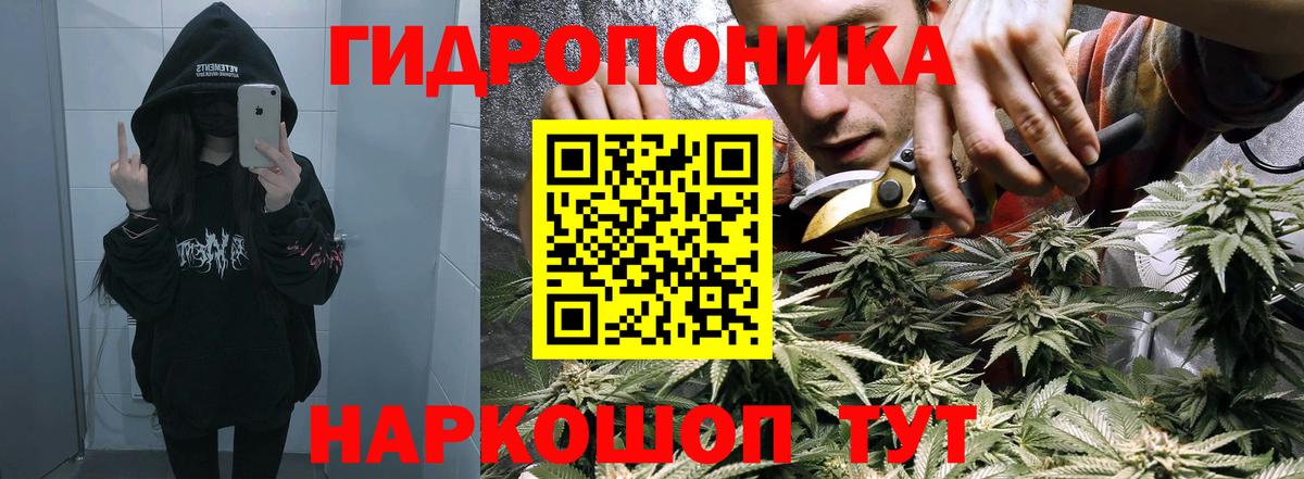 Бошки марихуана OG Kush Чебоксары